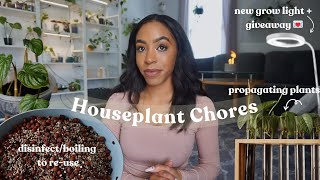 Plant Chores | cleaning/reusing substrate, propagating plants, new grow light + giveaway ✨