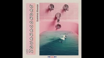 Iguanacondas - Down the Drain Pipe