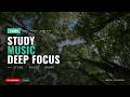 Study Music for Deep Focus 📚 1 Hour Japanese Forest Sounds | Work BGM | Mori Sounds