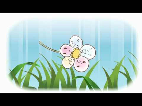 【BBC放送作品】アミンチュ劇場(11/05)