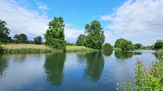 Peaceful Pond Ambience at The Vyne 🌿 Calm Water Reflections & Relaxing Piano Ambient Music (1 Hour)