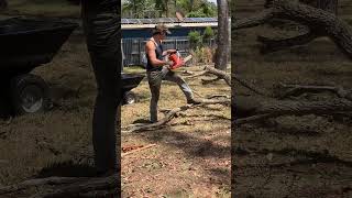 Customer pipe ripping Aussie hardwood #wood #mufflermod