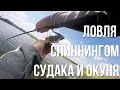 Ловля спиннингом судака и окуня