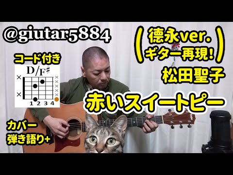 赤いスイートピー（松田聖子 / 德永英明ver.再現！：コード付き）/【カバー】小林弘和