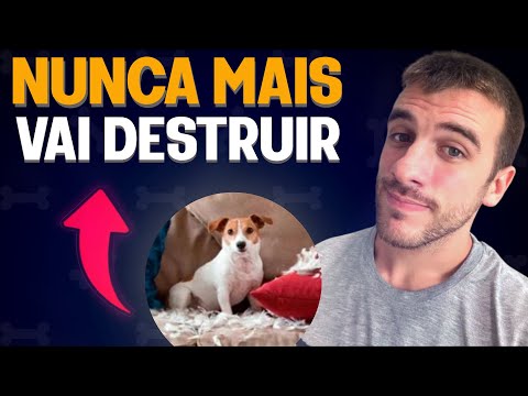 Vídeo: 10 brinquedos para manter seu filhote entretido