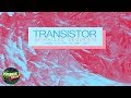 Transistor - The Brain (Acoustic)
