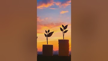 5 Chiến Lược Thu Nhập Thụ Động Của Người Giàu