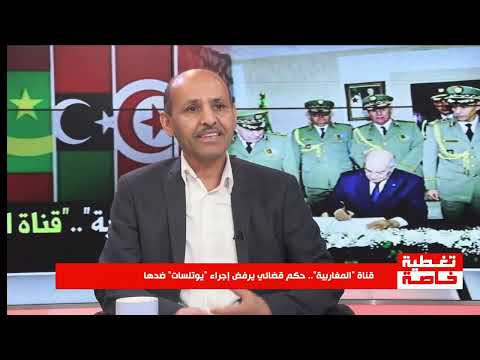 طيب الغيلوفي باحث في الشؤون المغاربية لا يقبلون قناة تعطي حق التعبير للجميع