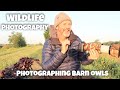 Photographing barn owls - Wildlife photography - Sony 100-400 G master