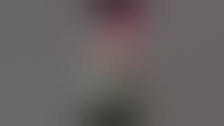 Fuckerman Disco game