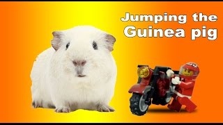 Throw Back Thursday: Jumping the Guinea pig with a motorbike brick film