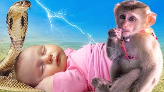 सांप और बन्दर ने नवजात बच्ची के प्राण बचाये | Jai Hanuman @laxaminarayan-japtapvratt7537 by Laxami Narayan - JAP TAP VRATT 373,447 views 1 month ago 15 minutes
