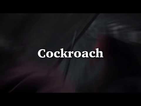 【初MAD】鬼滅の刃×Cockroach