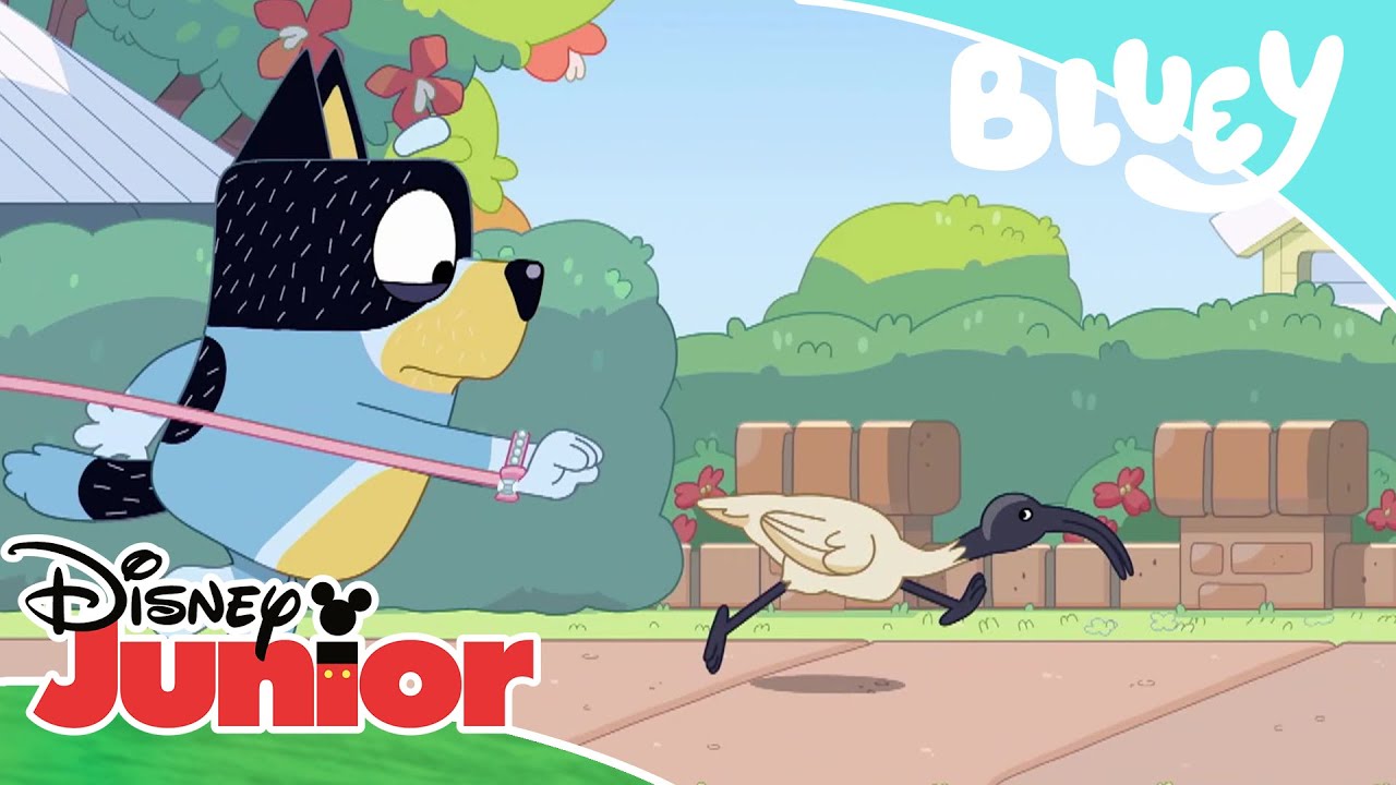 ⁣Bluey: La mascota | Disney Junior Oficial