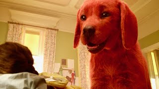花澤香菜、三森すずこ日本語吹替！BTS「Dynamite」級デカい子犬のでっかい騒動！映画『でっかくなっちゃった赤い子犬 僕はクリフォード』特報