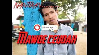 Thailer lagu mawoe ceudah cover Haikal