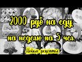 Что ПРИГОТОВИТЬ, чтобы СЭКОНОМИТЬ? 💰// Экономные рецепты// Закупка продуктов на 2000 руб НА НЕДЕЛЮ🛒