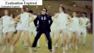 PSY - GANGNAM STYLE (강남스타일) M/V Trance party Remix