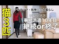 【アラフィフ独身女】非正規無期雇用派遣で働く理由|最後に義援金のご報告
