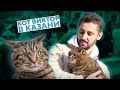 Толстый кот Виктор вызвал ажиотаж в центре Казани