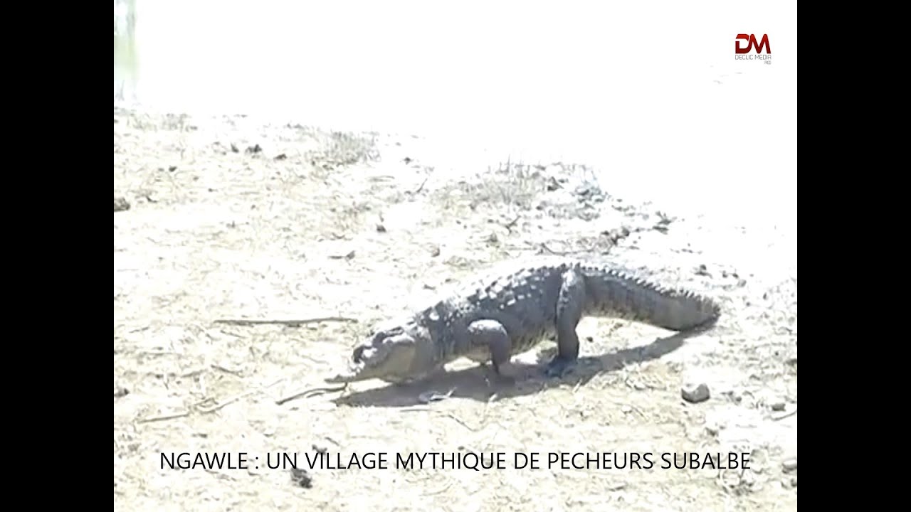 NGAWLE : VILLAGE MYTHIQUE DES PECHEURS SUBALBE