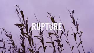 Homewards - Rupture