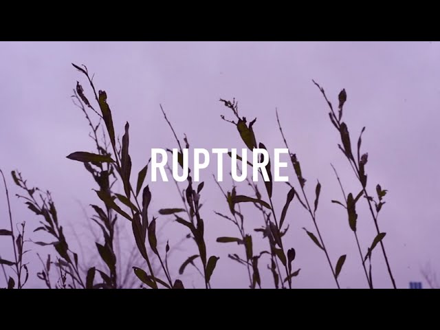 Guarda Homewards - Rupture su YouTube Guarda Homewards - Rupture su YouTube