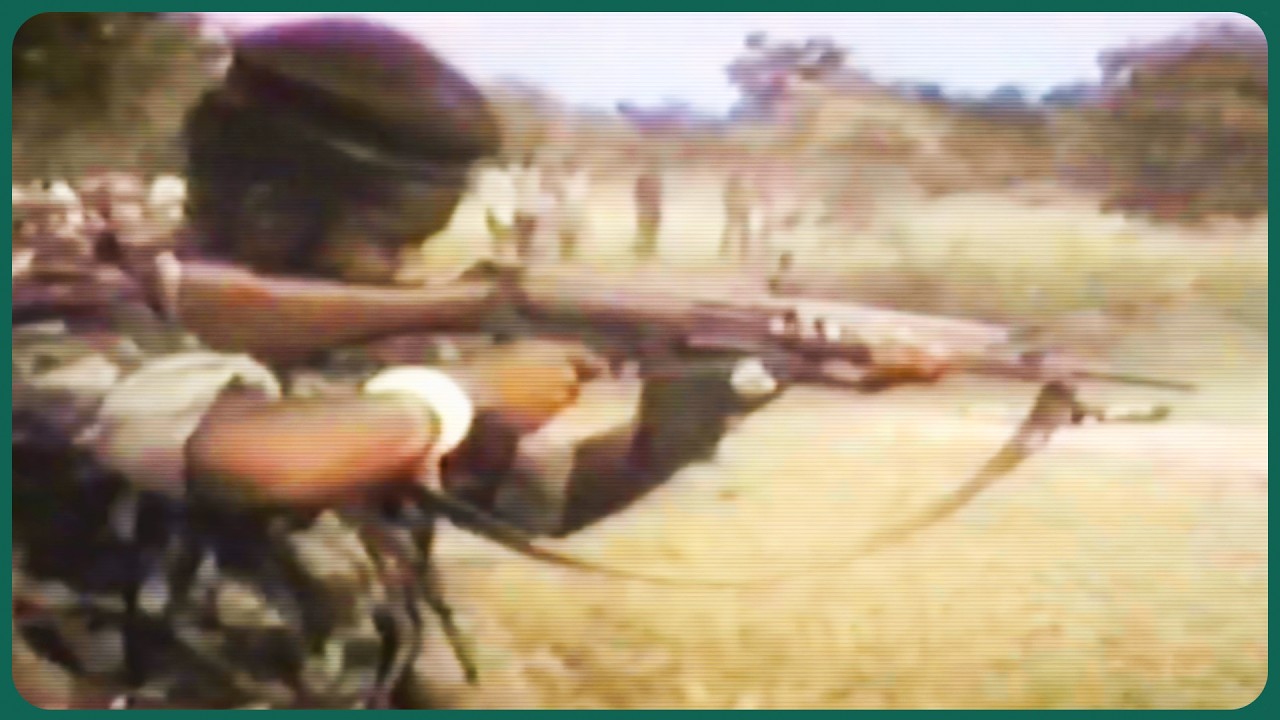 Mercenaries