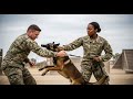 Instructor blocked a Black K9 handler’s team on the odor course — and then this happened