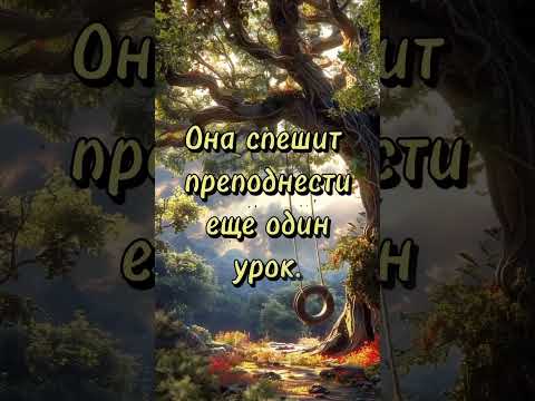 На свете нет таких вершин, что покорить нельзя... #shorts #стихи #жизненнаяпоэзия #цитаты #любовь