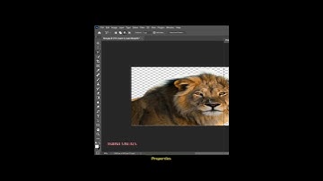 The best way to select fur in Photoshop! #photoshop #shorts