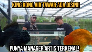 GELO!! ADA KINGKONG AIR TAWAR DISINI? KEPUNYAAN MANAGER ARTIS TERKENAL!! #AudreyA #KINGOFTHEJUNGLE