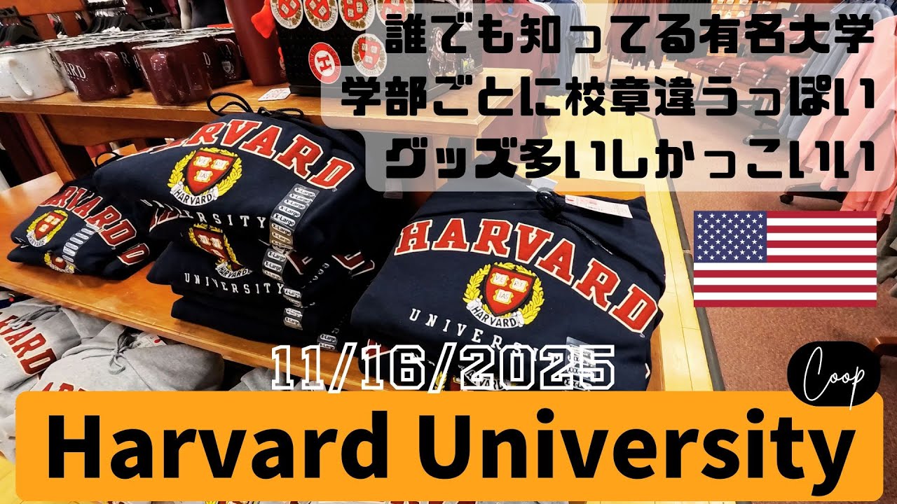 世界ランキング一位ハーバード大学のグッズを見にギフトショップへ。高めだけど全部かっこいい。【11/16/2025】