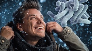 БАКТЕРИИ ПОЗДРАВЛЯЮТ ВАС С НОВЫМ ГОДОМ! БАКТЕРИИ ПОЗДРАВЛЯЮТ ВАС С НОВЫМ ГОДОМ!