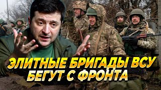 Элитные бригады ВСУ бегут с фронта — Новости