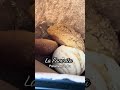 Favorite Panadería in California