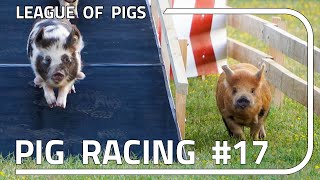 League of Pigs - Season 5 - Round 1!