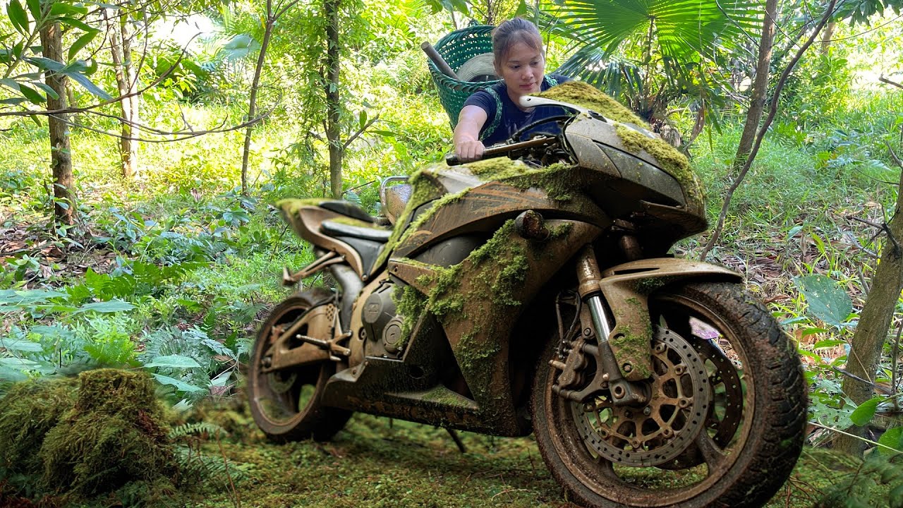 Review Repair Big Displacement Motorcycle HONDA CBR 600RR Covered With Green Moss