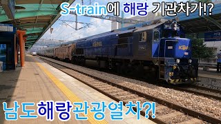 남도해랑열차() #2521 서대전역 도착+발차 DEL 7382