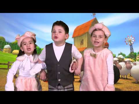 Enki-Benki gochebi / ენკი-ბენკი გოჭები