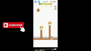 Save the Dog- Draw to Save Level 17