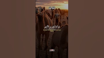 القران الكريم 🫀 #اكسبلور #الرحمن #دويتو #المراه #حالات_واتس #الظروف #duet #المصحف #راحة_نفسية_قرآن