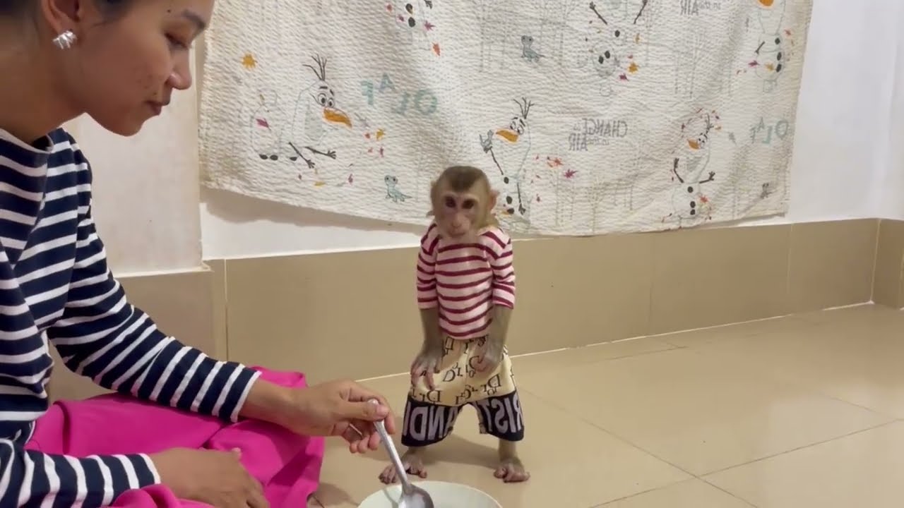 Nazztii Jasmine raise run a way from mom training her