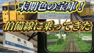 ＜115系末期色＞伯備線の普通列車に乗ってきた　岡山旅#3【しんやまかぜ鉄道旅】
