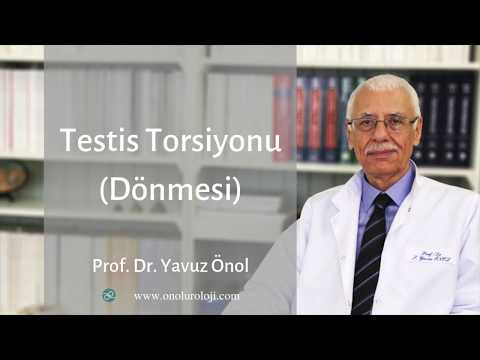 Testis Torsiyonu Nedir? Testis Torsiyonu Nedir? Testis Torsiyonu Belirtileri? Prof. Dr. Yavuz Önol