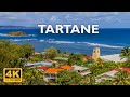 Tartane, Martinique, France 🇫🇷 | 4K Drone Footage