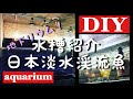 【日淡水槽】日本淡水渓流魚水槽の紹介
