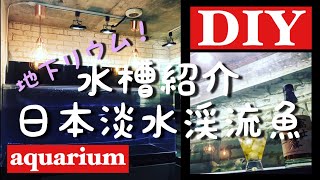 【日淡水槽】日本淡水渓流魚水槽の紹介