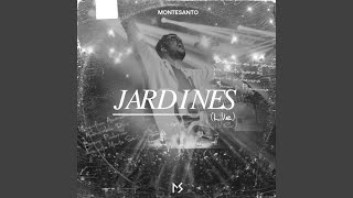 Jardines (Live) - Montesanto