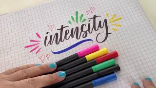 BIC Intensity Dual Tip